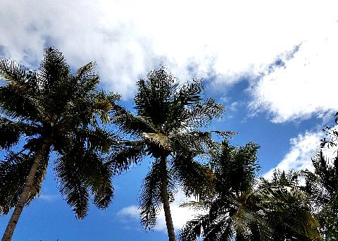 Beautiful Goa Sky - Download Goa Photos