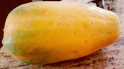 Fruits in Goa - Download Goa Photos