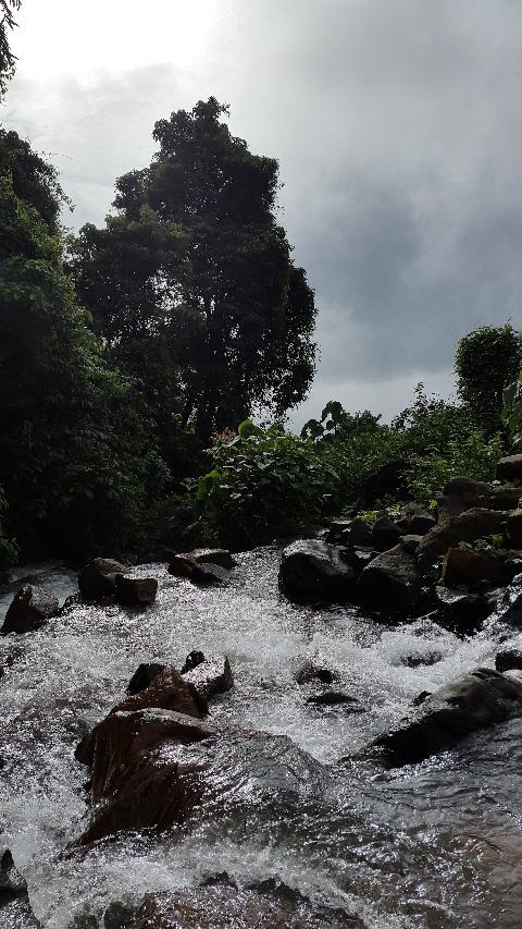 Mangeli Waterfall Treking - Download Goa Photos