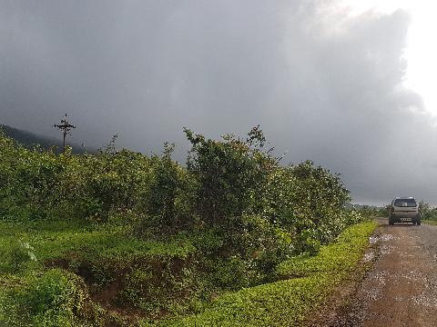 Mangeli Waterfall Treking - Download Goa Photos