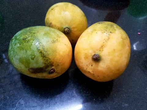 Fruits in Goa - Download Goa Photos