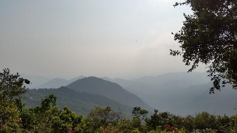 Wildernest Nature Resort - Download Goa Photos