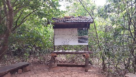 Wildernest Nature Resort - Download Goa Photos
