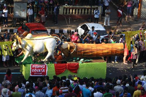 Goa Carnival - Download Goa Photos