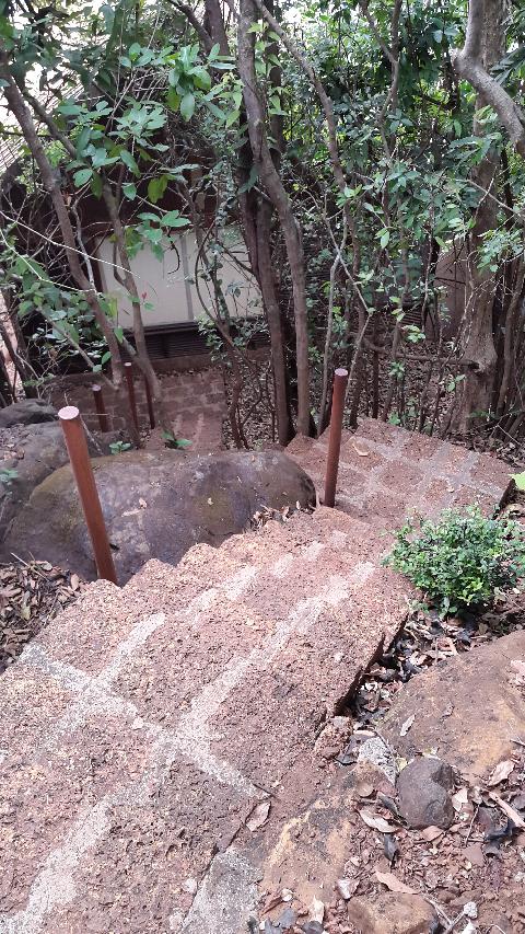 Wildernest Nature Resort - Download Goa Photos