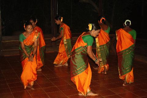 Wildernest Nature Resort - Download Goa Photos