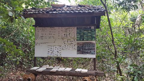 Wildernest Nature Resort - Download Goa Photos
