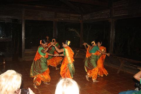 Wildernest Nature Resort - Download Goa Photos
