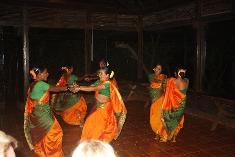 Wildernest Nature Resort - Download Goa Photos