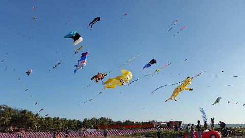 Kite Fetival in Goa - Download Goa Photos