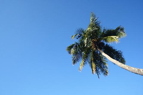 Goa in Pictures - Download Goa Photos