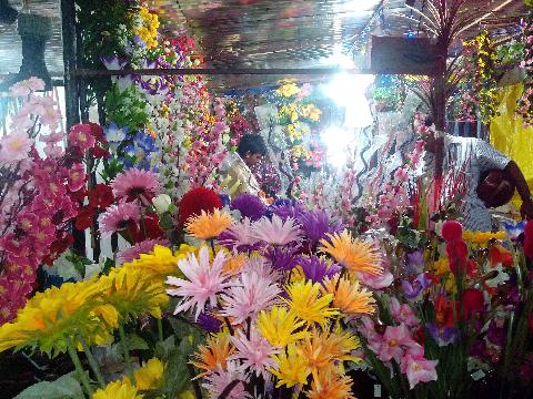 Panjim church Feast in Goa - Download Goa Photos