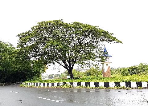 Goa Roads and Railways - Download Goa Photos