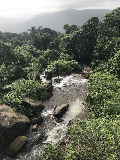 Mangeli Waterfall Treking - Download Goa Photos