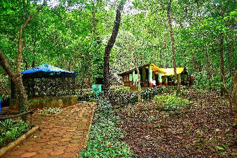 Bondle Wildlife Santuary - Download Goa Photos