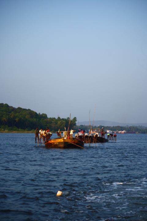 Goa Backwater - Download Goa Photos