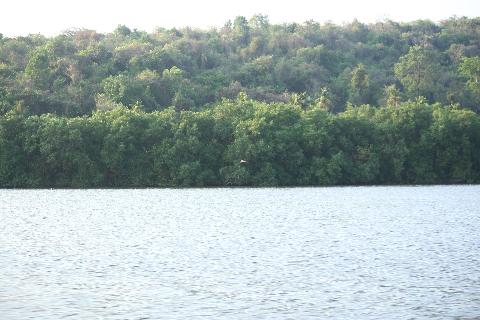 Goa Backwater - Download Goa Photos