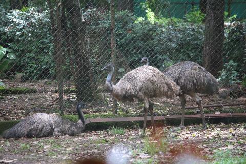 Bondle Wildlife Santuary - Download Goa Photos