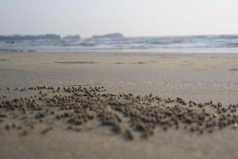 Goa Beaches - Download Goa Photos