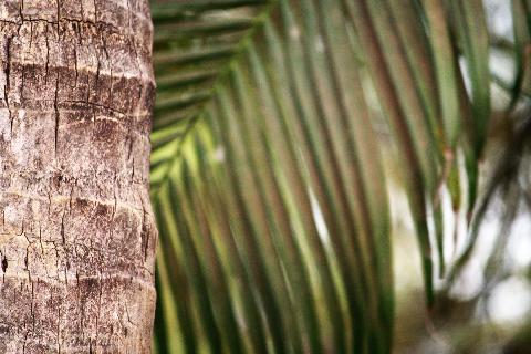 Goa in Pictures - Download Goa Photos