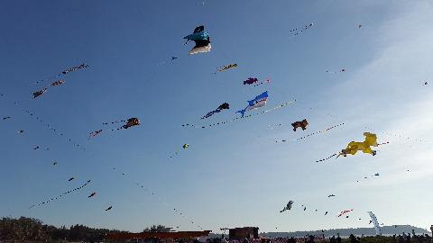 Kite Fetival in Goa - Download Goa Photos