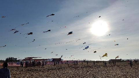 Kite Fetival in Goa - Download Goa Photos