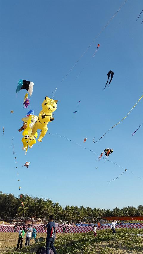 Kite Fetival in Goa - Download Goa Photos