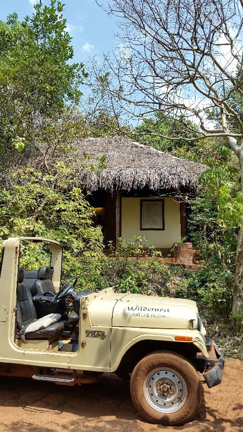 Wildernest Nature Resort - Download Goa Photos