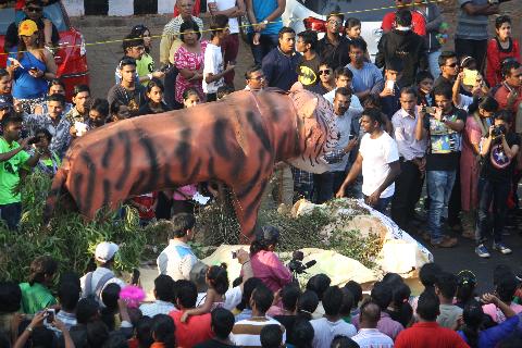 Goa Carnival - Download Goa Photos