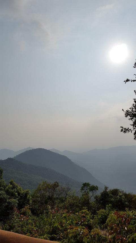 Wildernest Nature Resort - Download Goa Photos