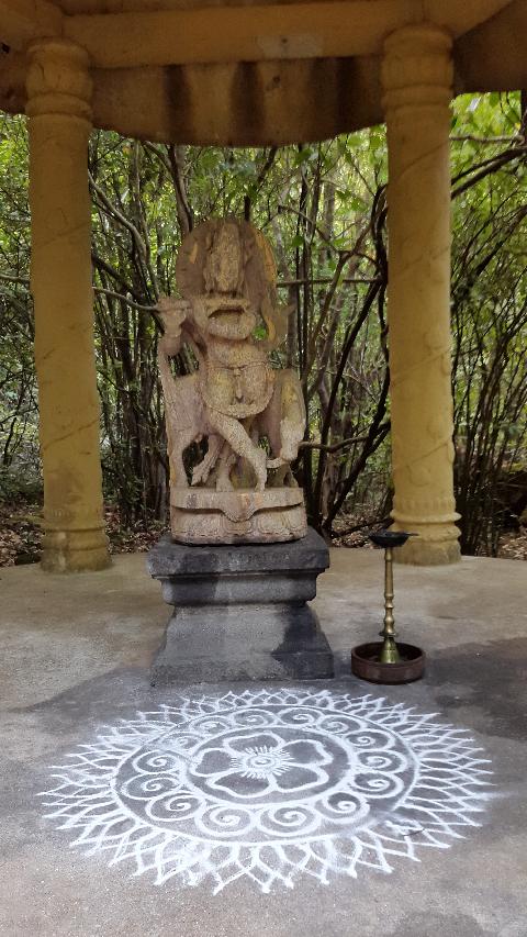 Wildernest Nature Resort - Download Goa Photos