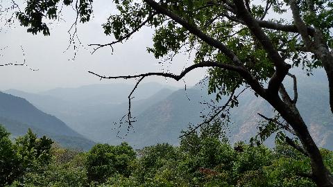 Wildernest Nature Resort - Download Goa Photos