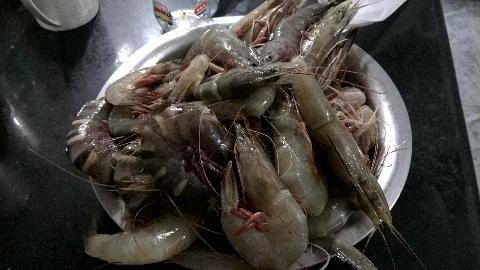 Goa Fishes - Download Goa Photos