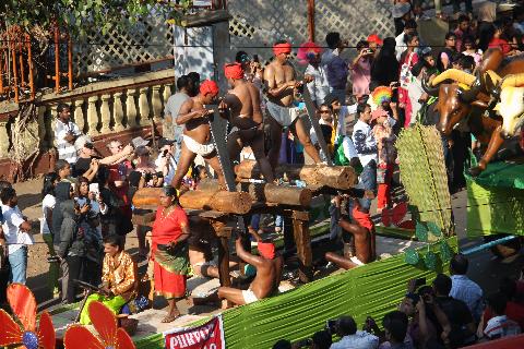 Goa Carnival - Download Goa Photos
