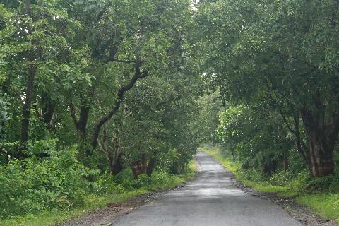 Goa Roads and Railways - Download Goa Photos
