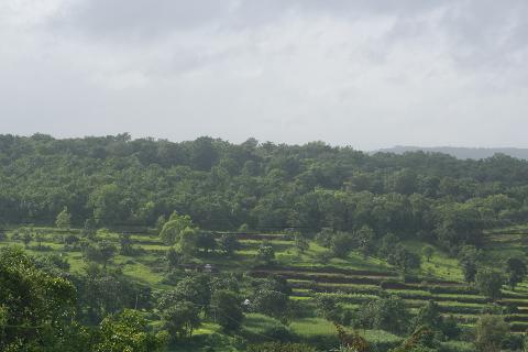 Goa Hill and Landscape - Download Goa Photos