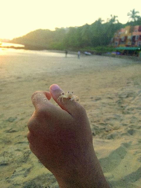 Goa Beaches - Download Goa Photos