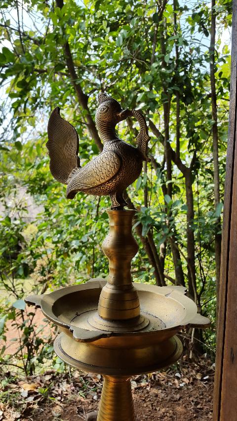 Wildernest Nature Resort - Download Goa Photos