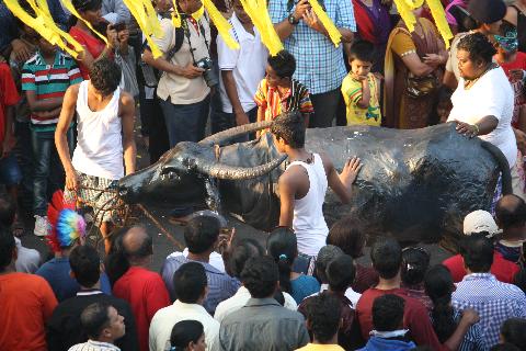 Goa Carnival - Download Goa Photos