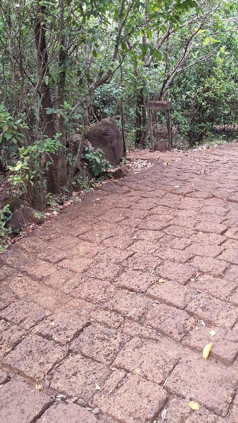 Wildernest Nature Resort - Download Goa Photos