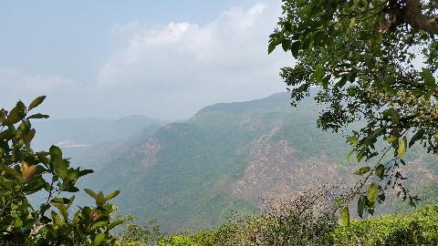 Wildernest Nature Resort - Download Goa Photos
