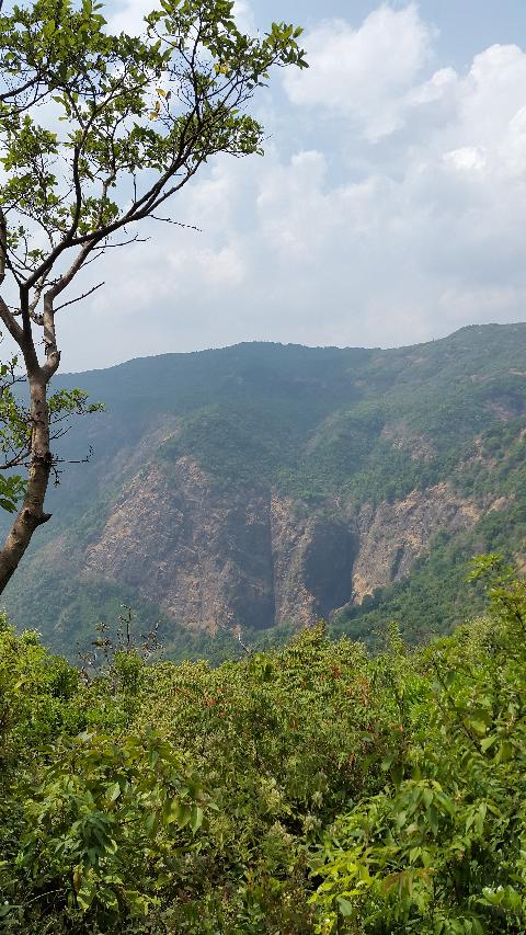 Wildernest Nature Resort - Download Goa Photos