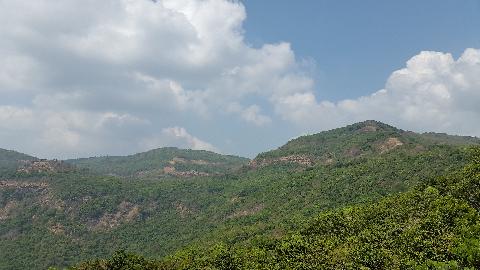 Wildernest Nature Resort - Download Goa Photos